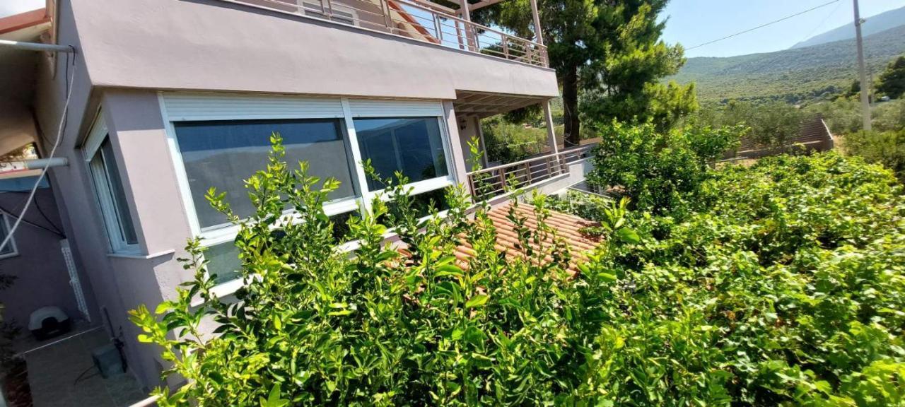 Guesthouse Eirini Porto Germeno المظهر الخارجي الصورة